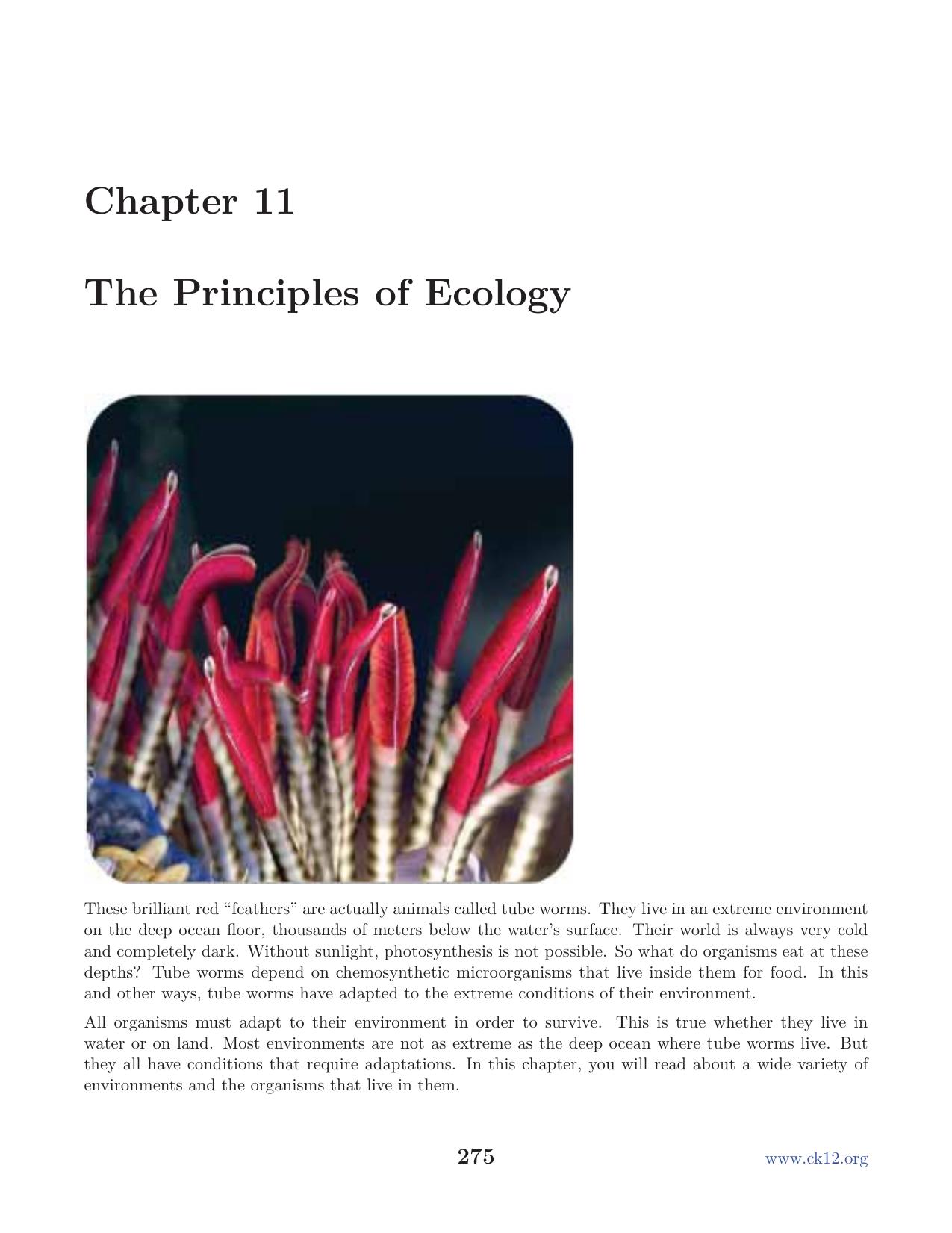 Biology Chapter11